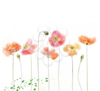 Digital Painting Of Red Poppy Flowers