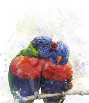 Digital Painting Of Rainbow Lorikeet Parrots