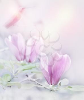Digital Painting Of Magnolia Flowers