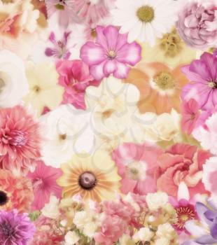 Digital Painting Of Colorful Floral Background