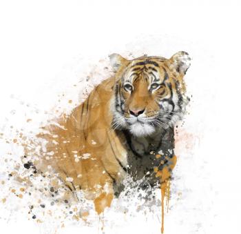 Digital Painting of Tiger Portrait 