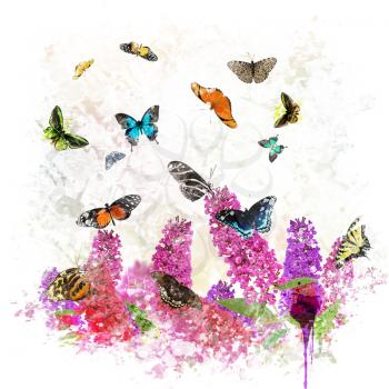 digital painting of  Butterflies and flowers