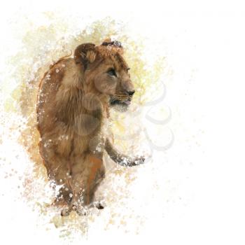 digital painting of  Lion Cub