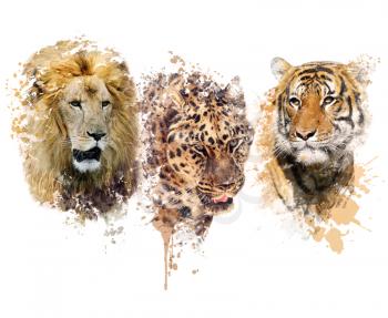 Digital painting of Lion ,Leopard and Tiger portraits