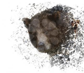 Digital Painting of Brown Bear
