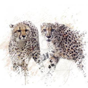 Digital Painting of  Two Cheetahs Portrait