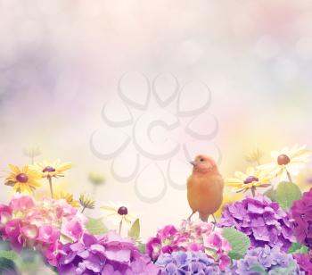 Flower Blossom Background with a Yellow Bird