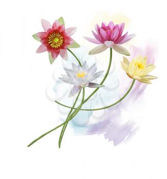 Digital Painting of  water lilies