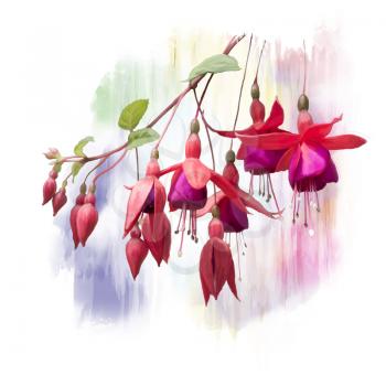 Digital Painting of  Red Fuchsia Flowers 