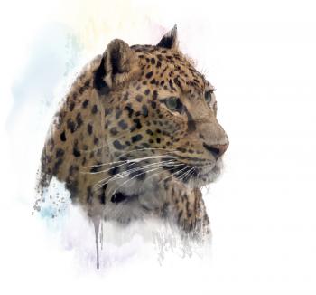 Digital Painting of  Leopard Portrait