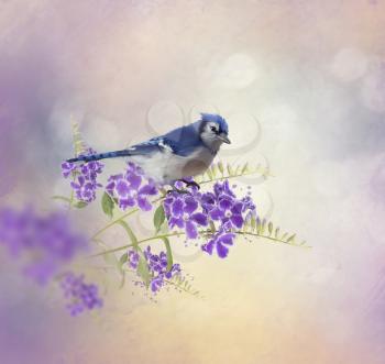 Blue Jay Perching on Blue Flowers watercolor painting