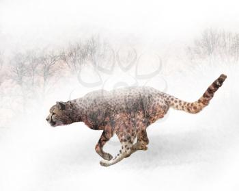 Double exposure of running cheetah and trees