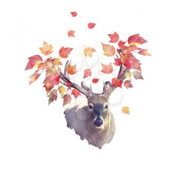 Deer male with autumn leaves . Autumn theme on white background.