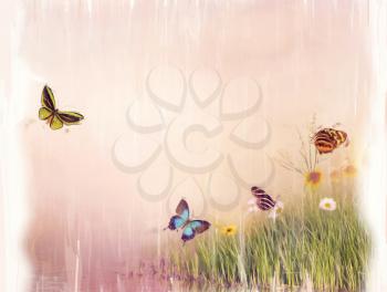 Digital Painting of Butterflies on a field
