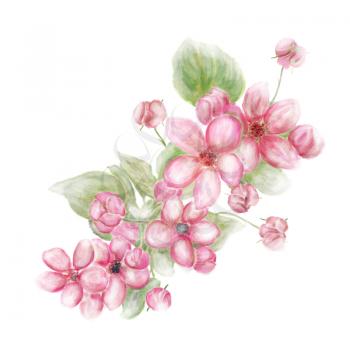 Branch with pink flowers and leaves