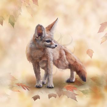 Fennec Fox watercolor illustration on autumn background