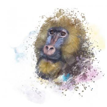 mandrill monkey portrait, tropical primate with a colorful face, watercolor digital painting