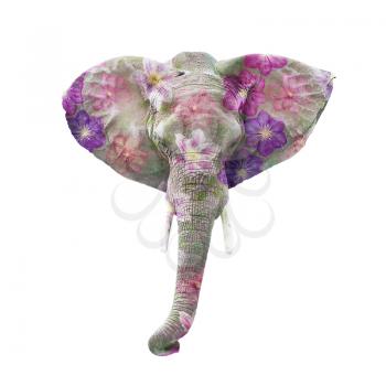 Elephant head with flowers isolated on white background