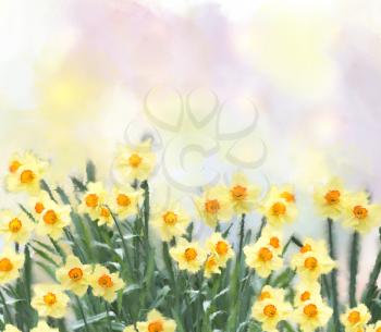 yellow daffodil flowers watercolor digital painting