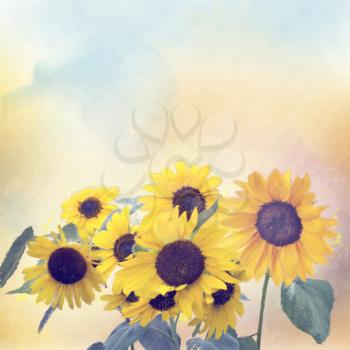 Watercolor digital painting of sunflowers. Digital illustration.