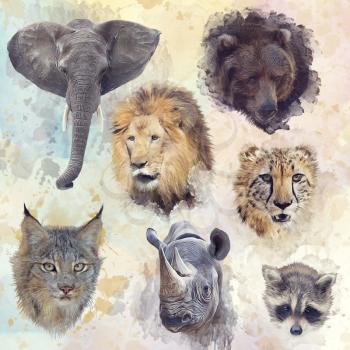 Digital illustration of animals background