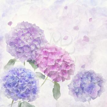 Watercolorl painting of hydrangea flowers .Digital illustration.