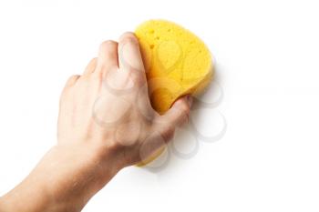 Hand holding a sponge isolated on white background.