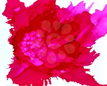 Pink flower.Bright background hand drawn with pink inks and watercolor paints. Color splashes and splatters create abstract flower.