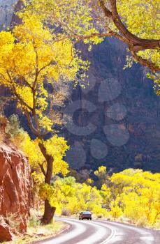 Royalty Free Photo of Autumn in Zion National Park in Utah