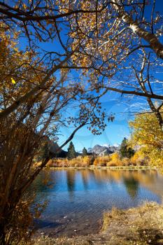 Royalty Free Photo of Autumn in Zion National Park