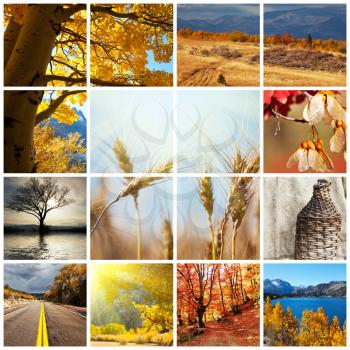 Royalty Free Photo of an Autumn Collage