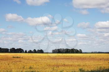 Royalty Free Photo of a Field in Autumn