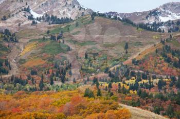 Royalty Free Photo of Autumn in the Mountains
