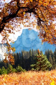 Royalty Free Photo of Yosemite National Park 