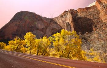 Royalty Free Photo of a Road Through Zion National Park in Autumn