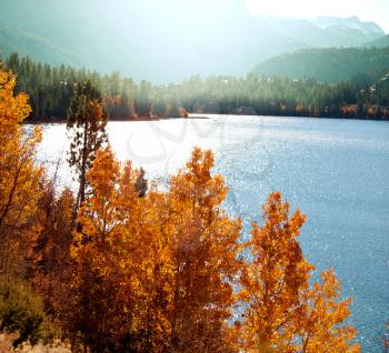 Royalty Free Photo of Autumn Lake in Autumn