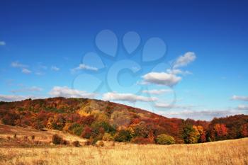 Royalty Free Photo of a Field in Autumn