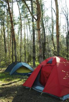 Royalty Free Photo of Tents in the Forest 
