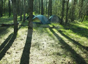 Royalty Free Photo of Tents in the Forest