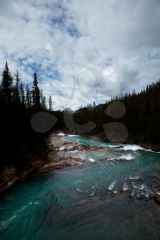 Royalty Free Photo of a Mountain Creek in Canada