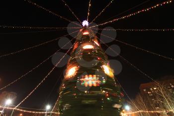 Royalty Free Photo of a Christmas Tree Strung with Lights 