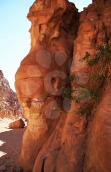 Royalty Free Photo of a Red Rock in Coloured Canyon, Egypt