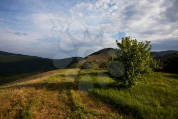 Royalty Free Photo of the Crimean Mountainside