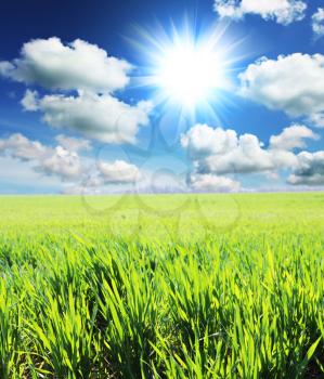 Royalty Free Photo of a Field and Sun