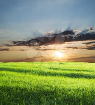 Royalty Free Photo of a Field at Sunrise