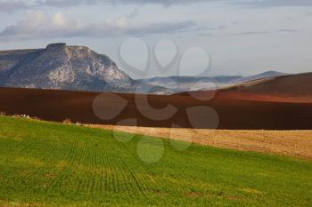 Royalty Free Photo of a Field and Mountains