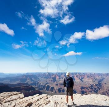 Royalty Free Photo of a Tourist Standing at the Grand Canyon