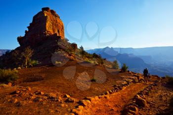 Royalty Free Photo of a Hiker in the Grand Canyon