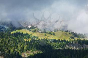 Royalty Free Photo of Mt. Rainier 