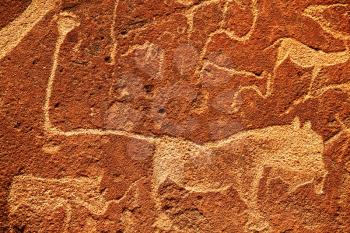 Royalty Free Photo of a Petroglyph
